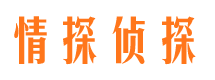 东河市婚外情调查